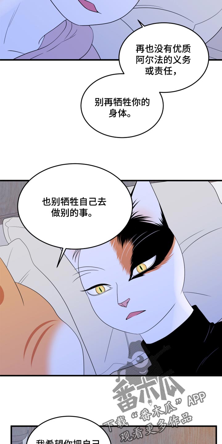 灵猫欧米伽什么时候更新第三季漫画,第75话1图