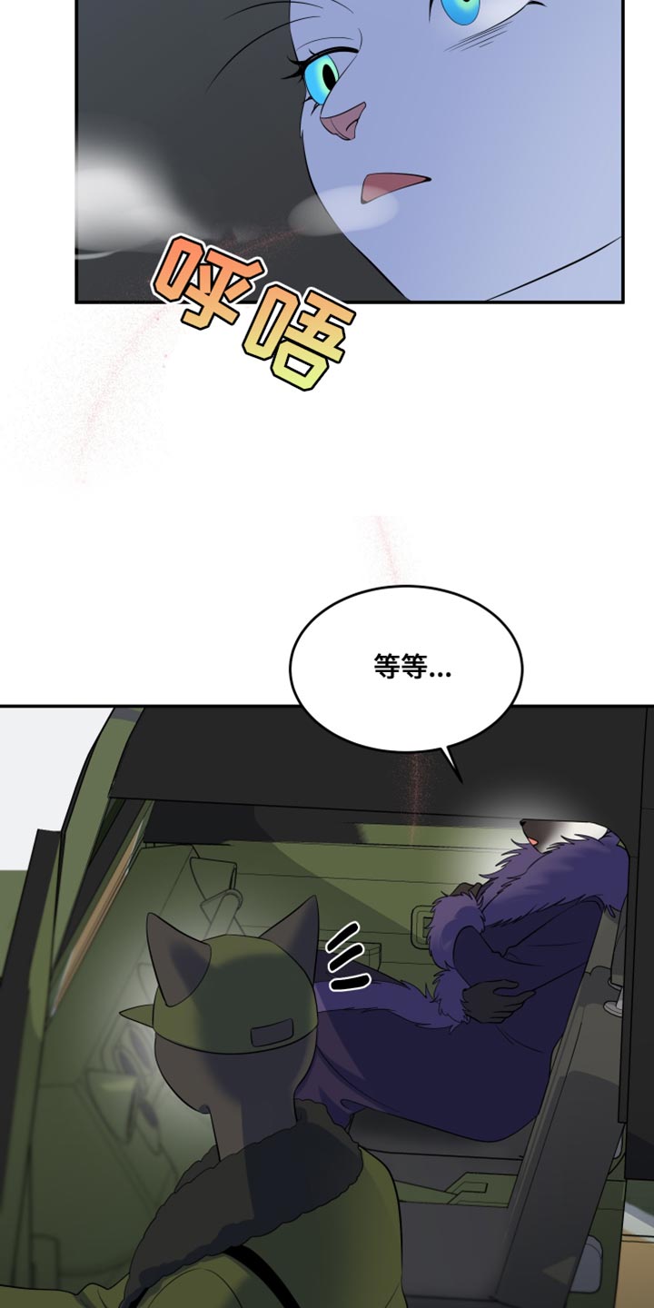 灵猫欧米伽漫画,第146话1图