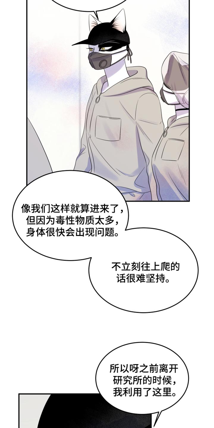 灵猫欧米伽什么时候更新漫画,第123话1图