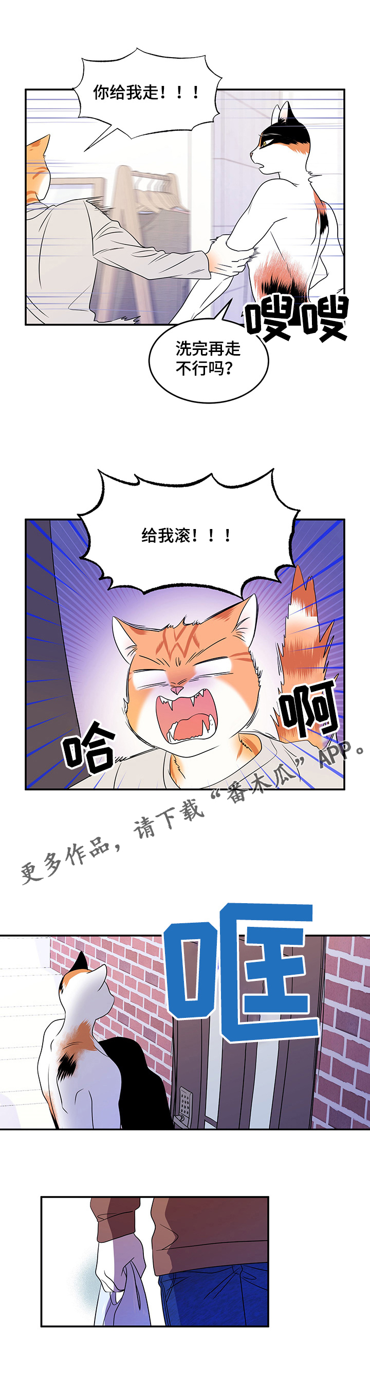 灵猫欧米茄画涯漫画,第5话1图