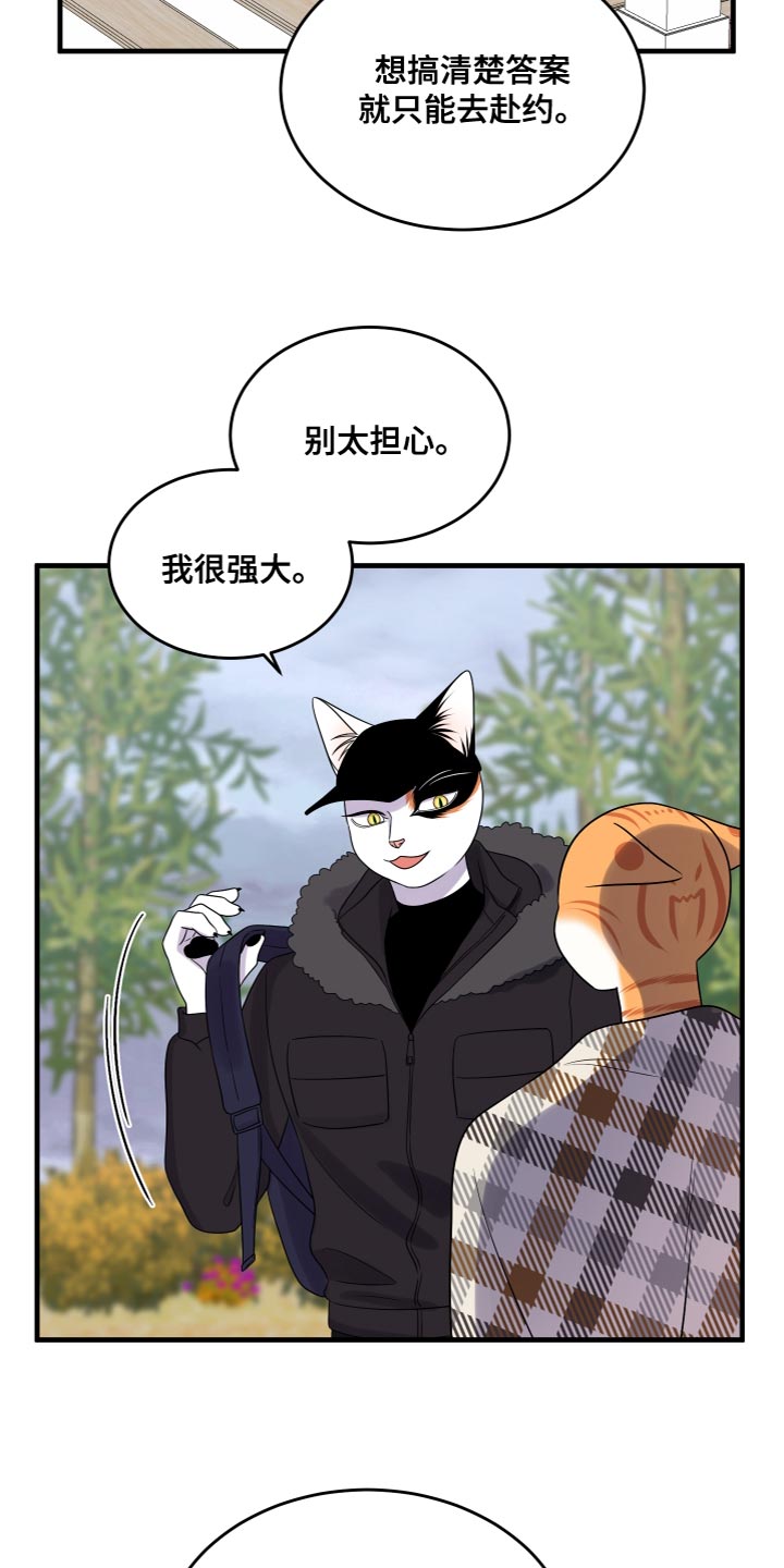 灵猫科和猫科的区别漫画,第108话2图