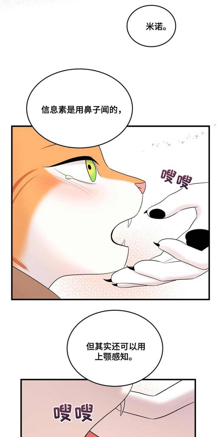 灵猫欧米伽漫画全集免费观看漫画,第104话1图