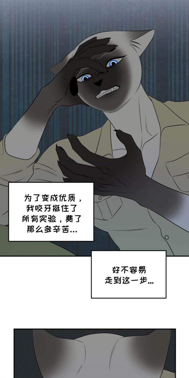 灵猫小说漫画,第122话1图