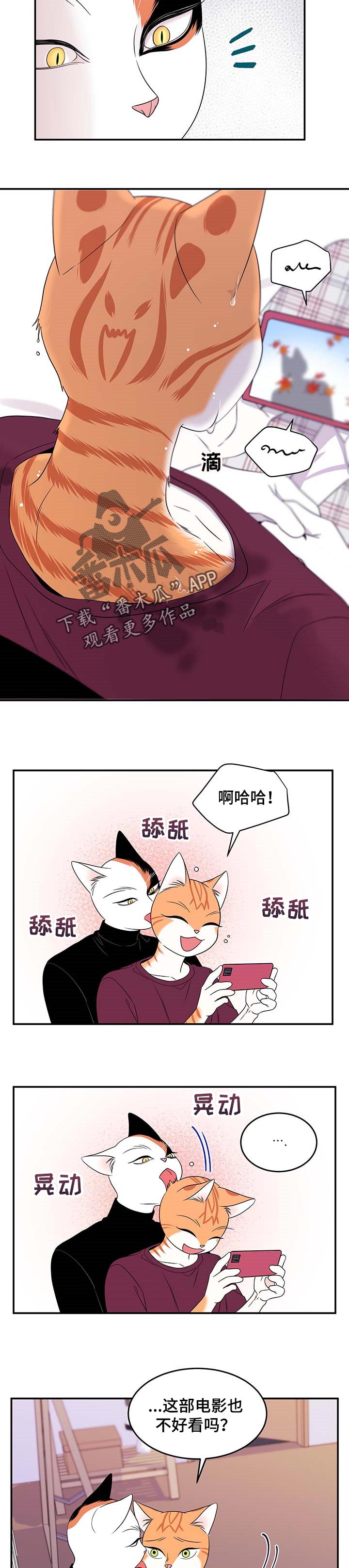 灵猫欧米伽完整版漫画,第17话1图