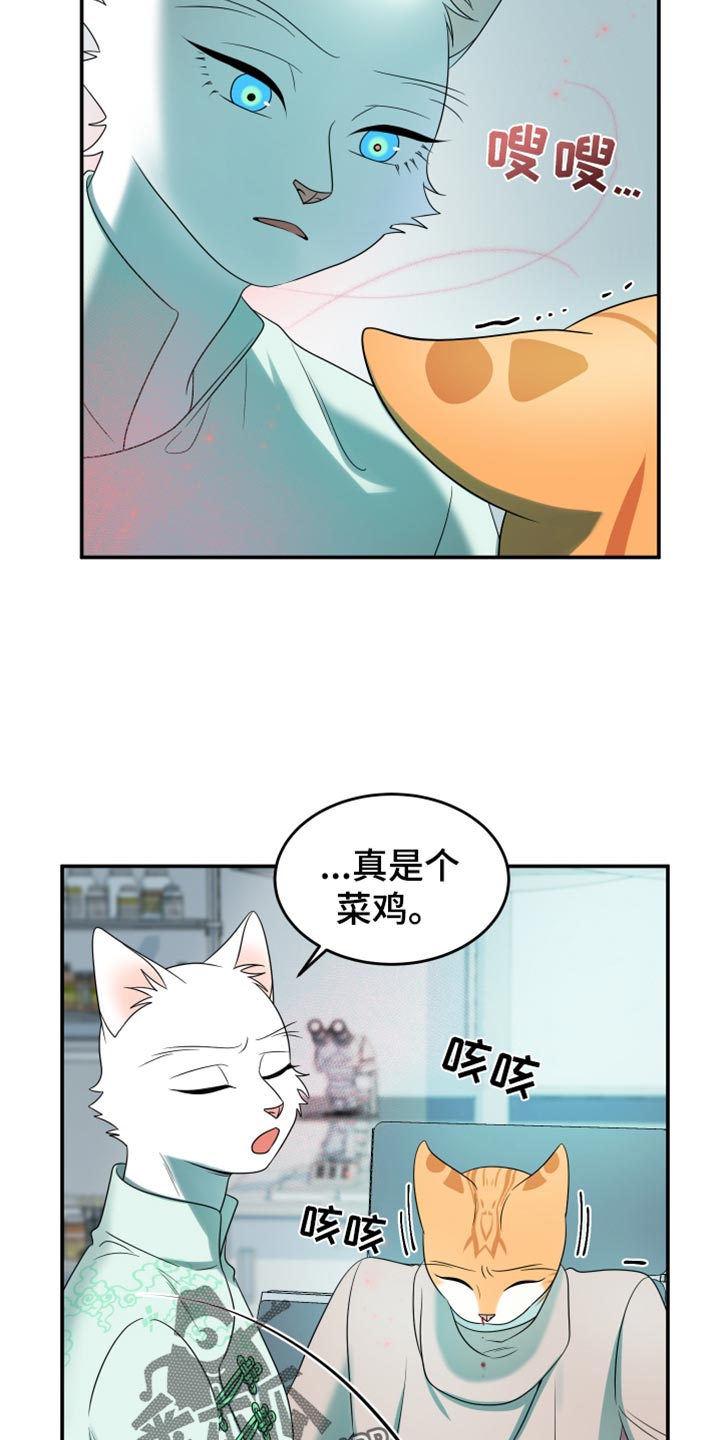 灵猫欧米伽漫画在哪里看漫画,第119话1图