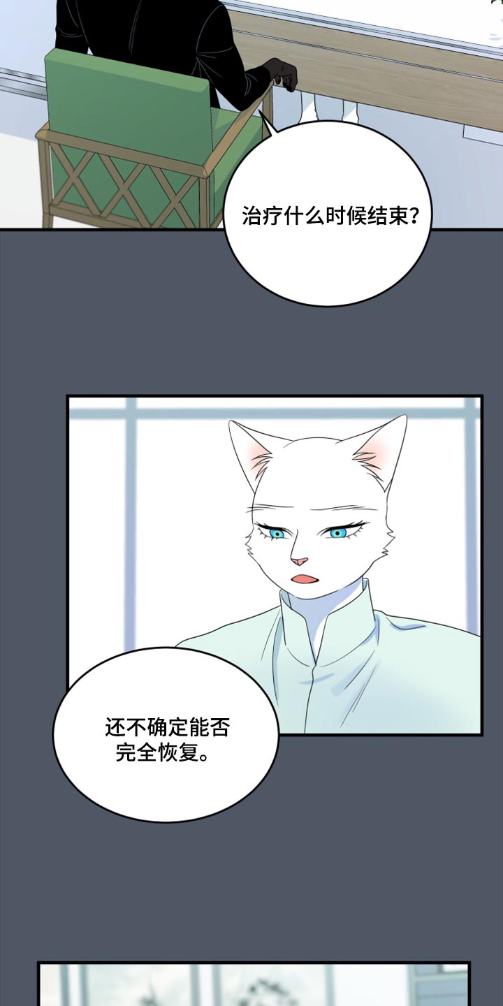 灵猫欧米伽是双男主吗漫画,第86话2图