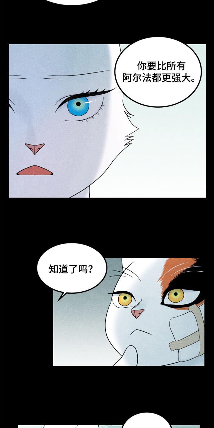 灵猫欧米伽漫画全集免费观看漫画,第70话1图