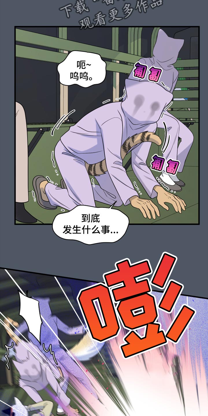 漫画灵猫欧米伽漫画,第81话1图