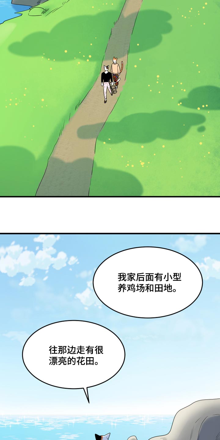 灵猫欧米伽高清漫画,第67话2图