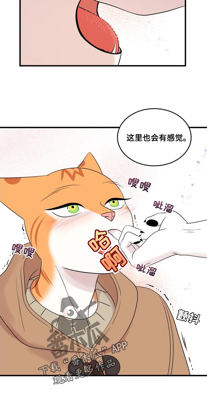 灵猫传手游漫画,第104话2图