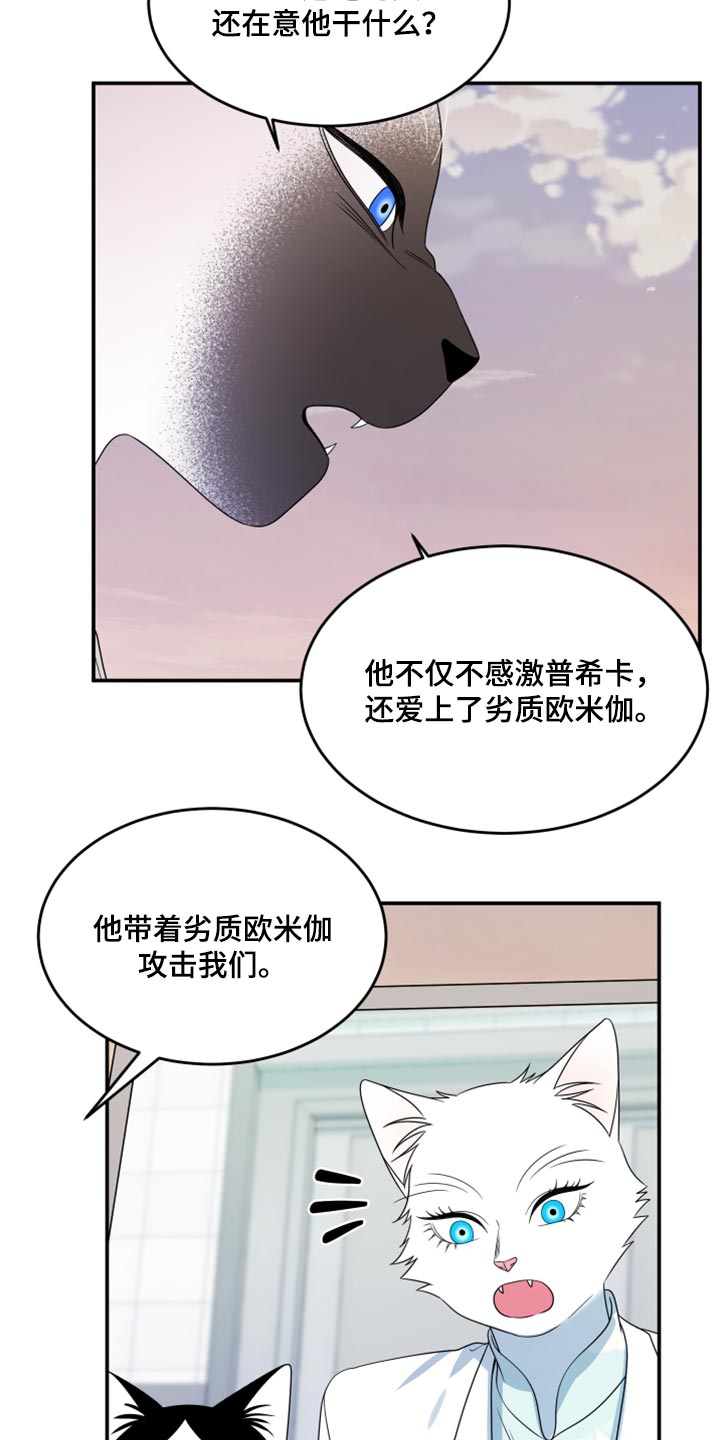 灵猫欧米伽动漫漫画,第57话1图