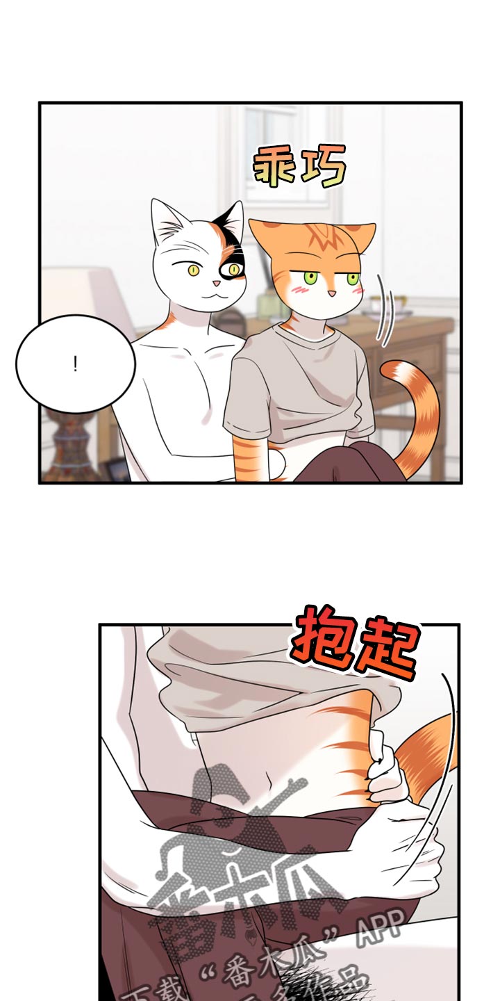 灵猫欧米伽第三季156章漫画,第91话1图