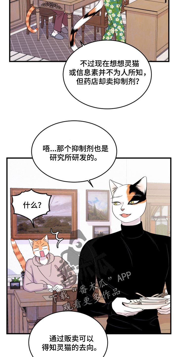 灵猫欧米伽漫画,第74话1图