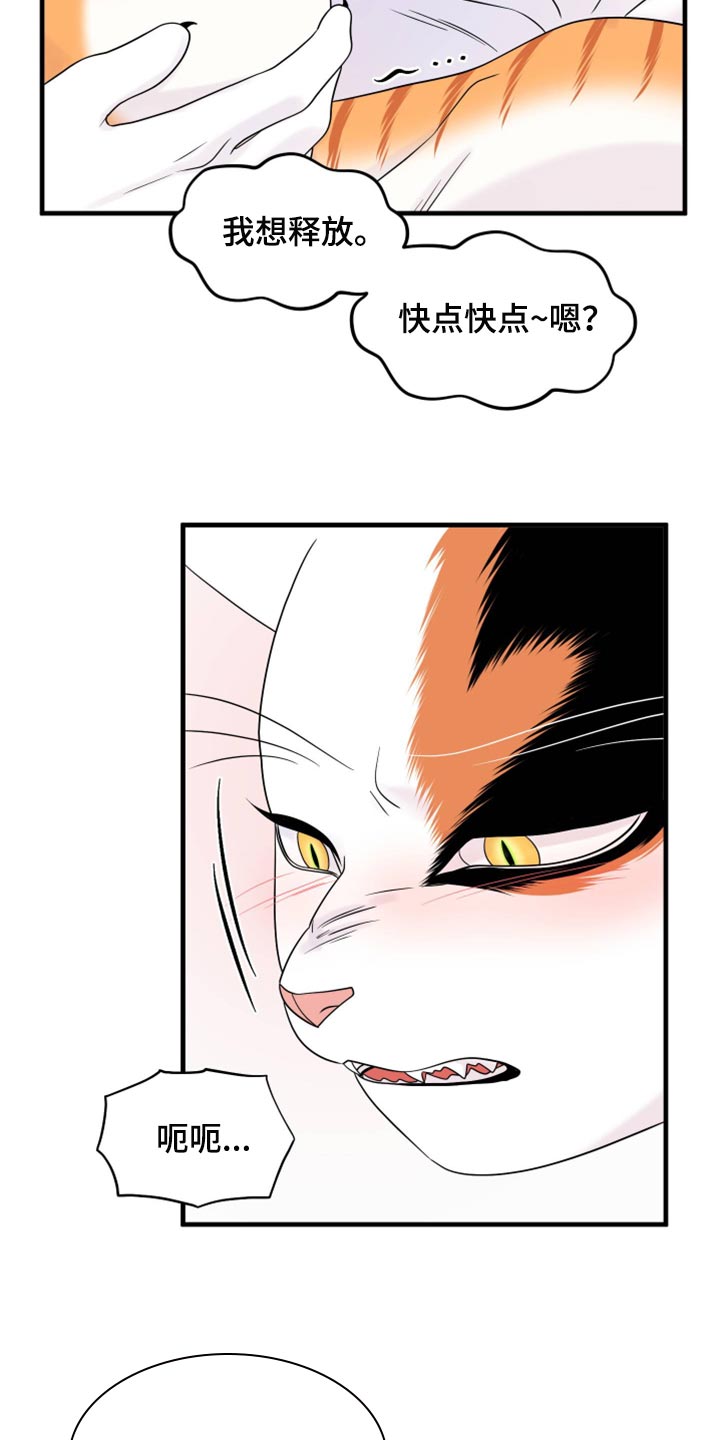 灵猫欧米伽合集漫画,第72话1图