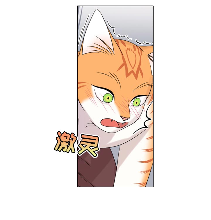 灵猫欧米伽漫画免费观看下拉式漫画,第91话1图