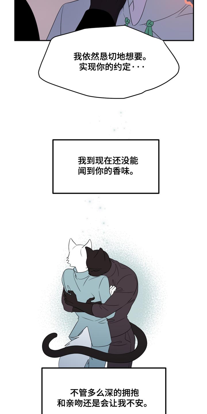 灵猫欧米伽免费阅读漫画,第155话1图