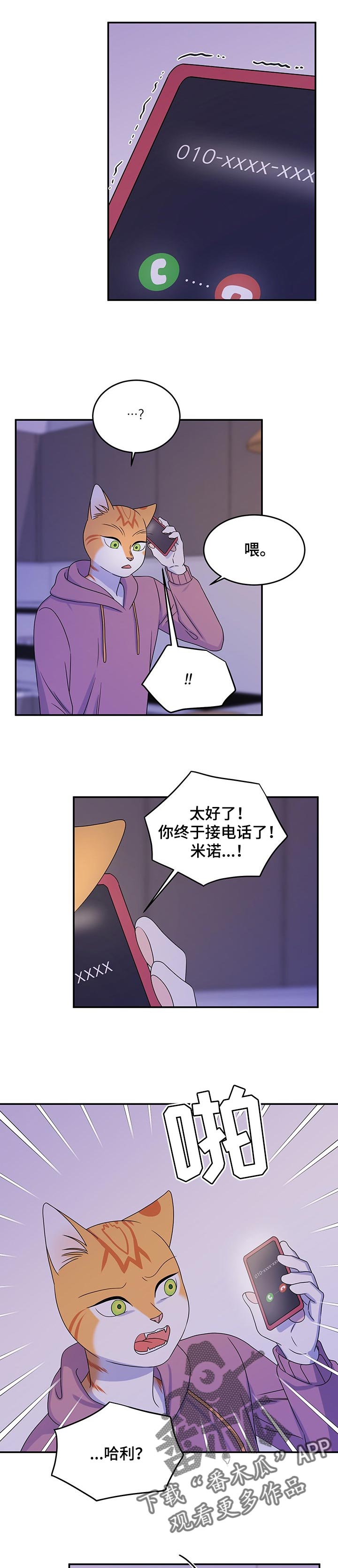 灵猫是什么动物漫画,第33话2图