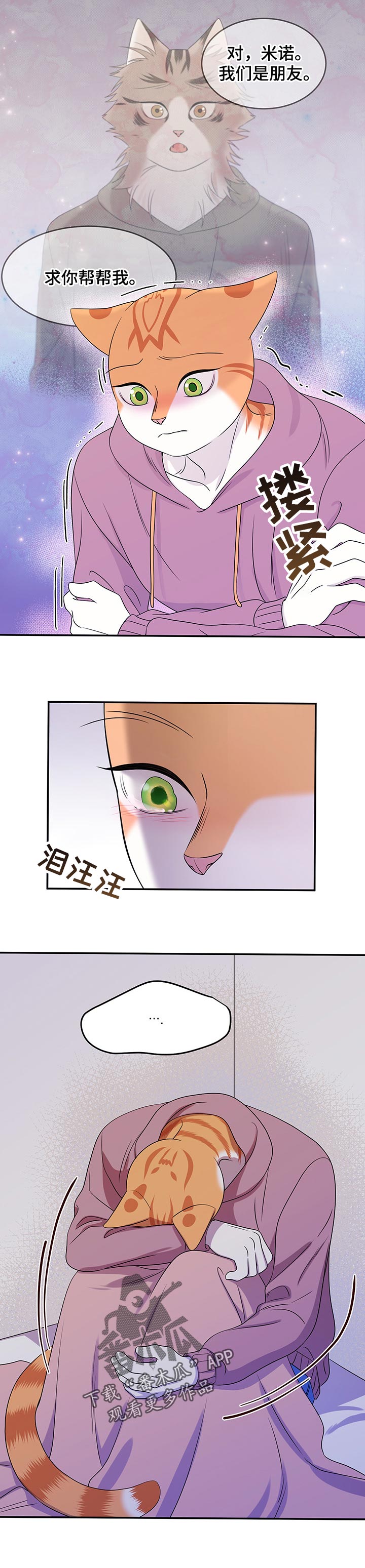 灵猫科和猫科的区别漫画,第30话2图