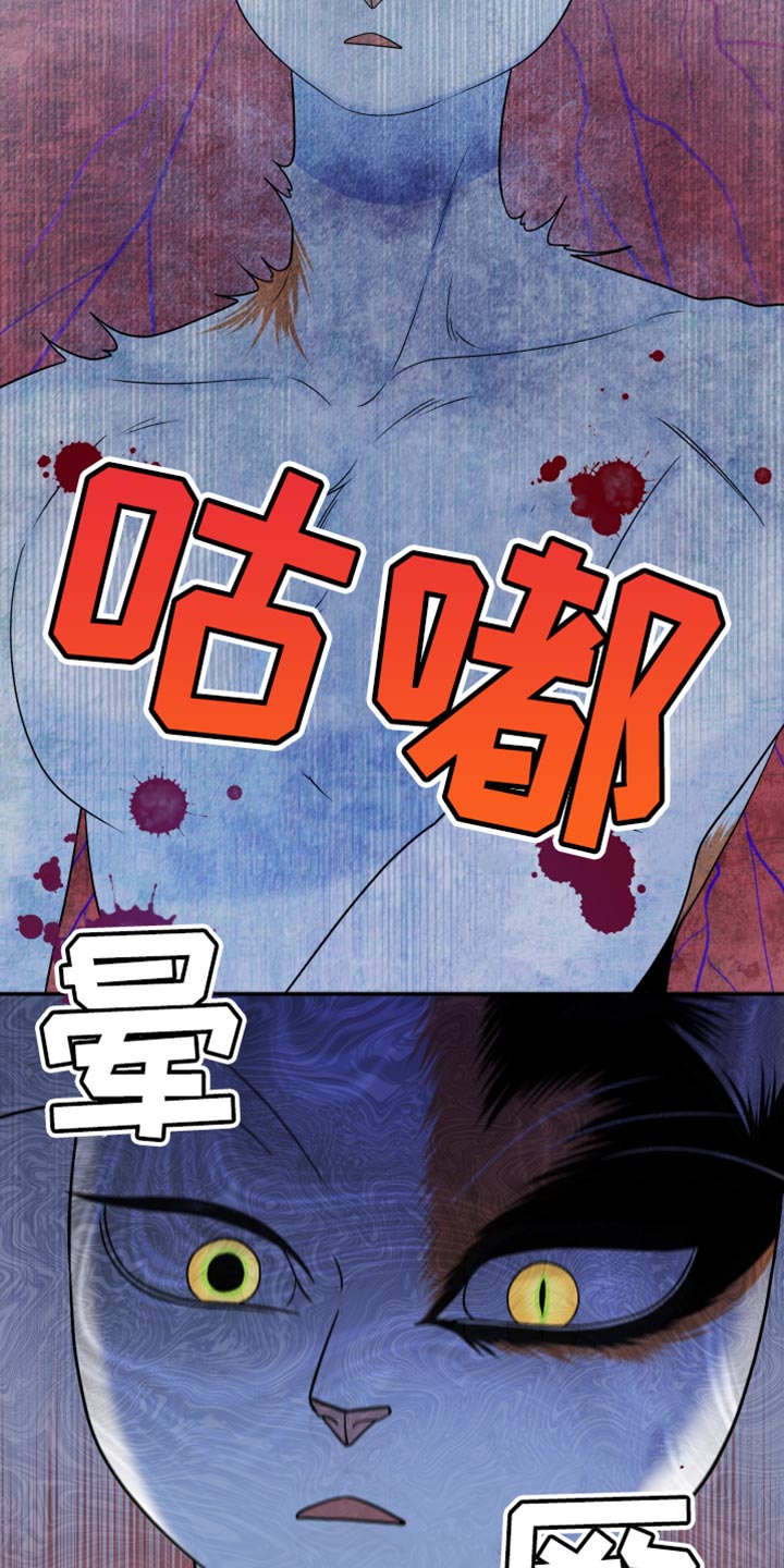 灵猫欧米伽最新话漫画,第165话1图