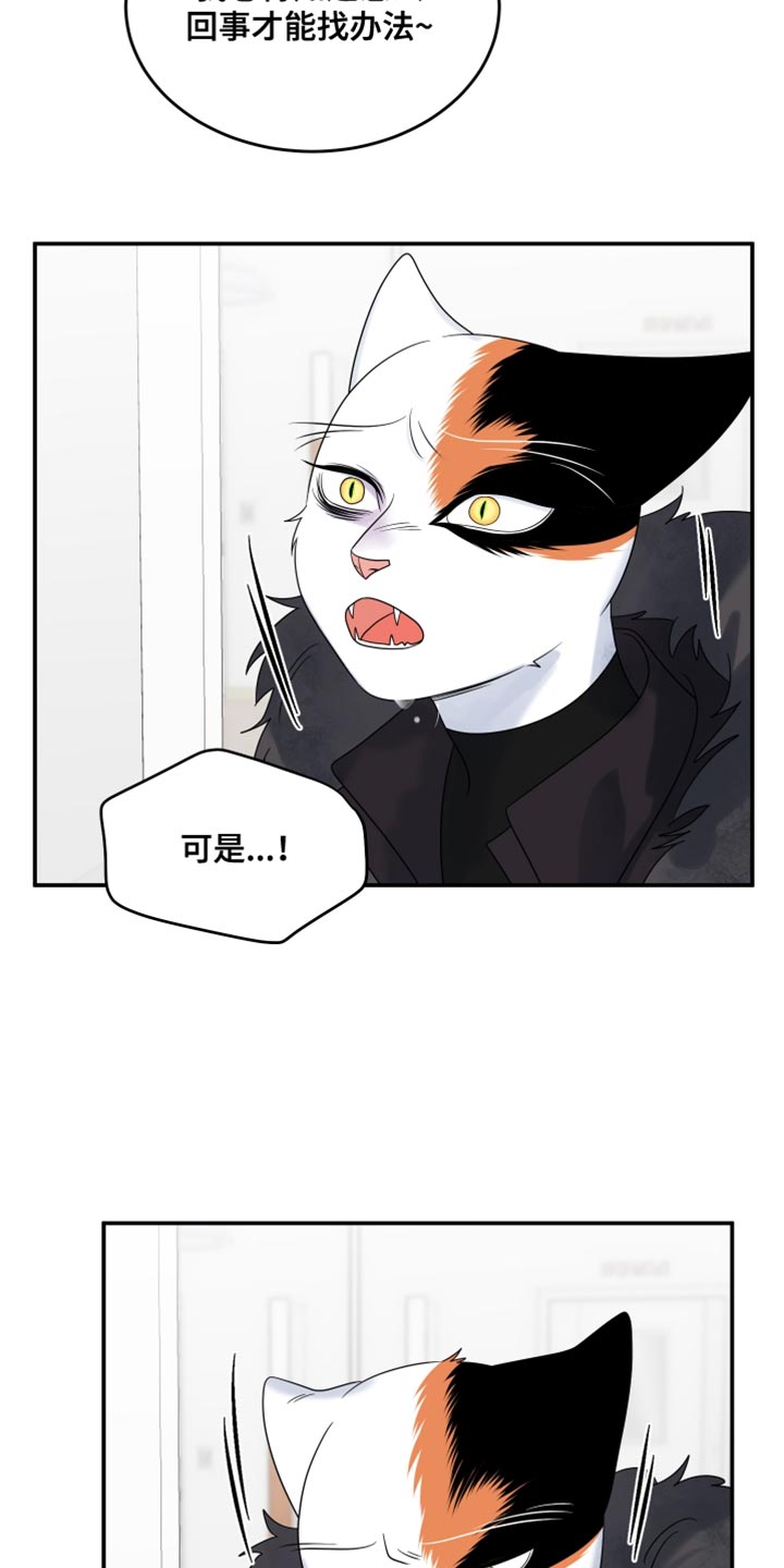 灵猫欧米伽漫画免费观看下拉式漫画,第111话2图