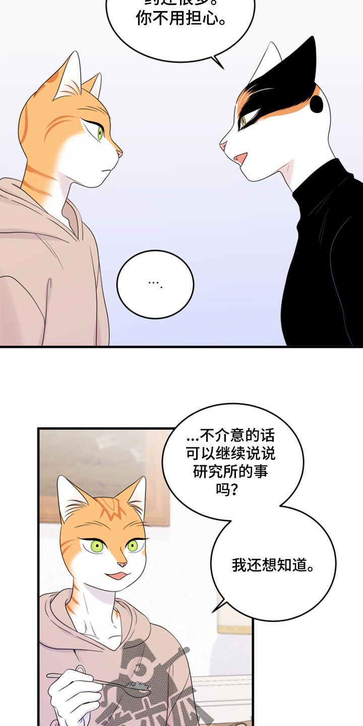 灵猫欧米伽漫画免费双男主漫画,第73话2图