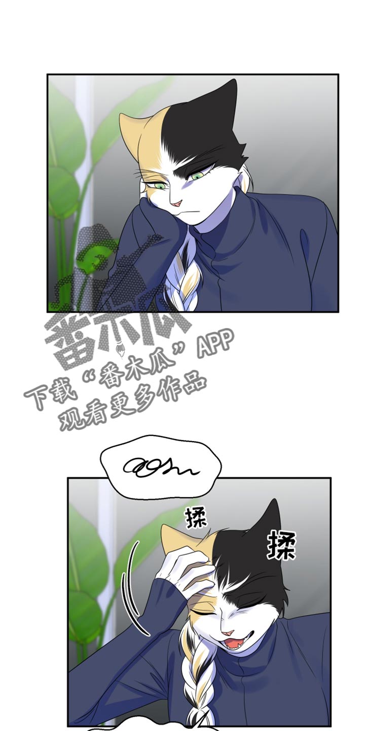 灵猫欧米伽漫蛙叫什么漫画,第116话1图