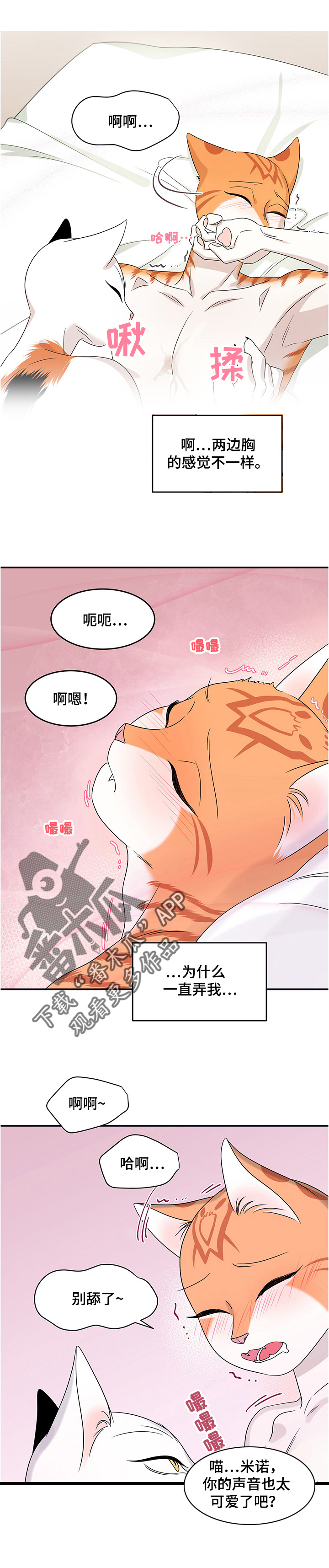 灵猫欧米伽漫画全集免费观看漫画,第12话2图