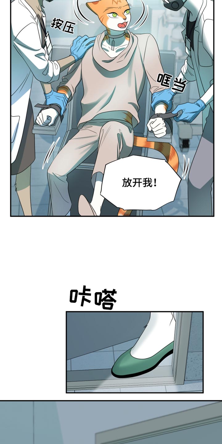 灵猫欧米伽免费阅读漫画,第118话2图