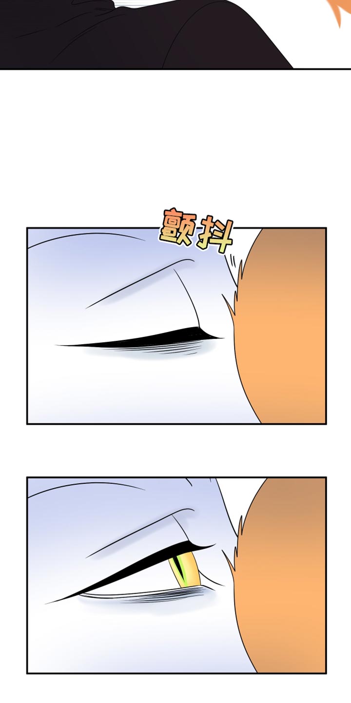 灵猫传1-8剧情漫画,第166话1图