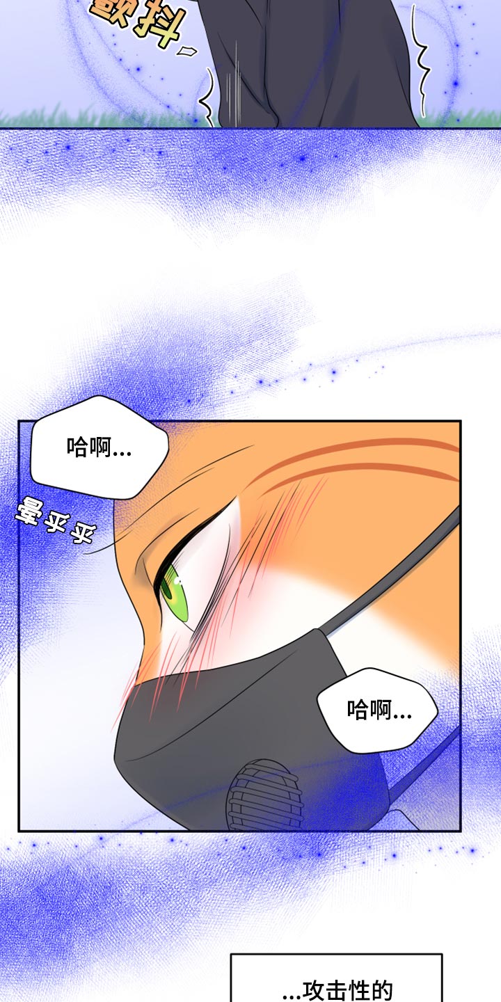 灵猫欧米伽图漫画,第63话1图