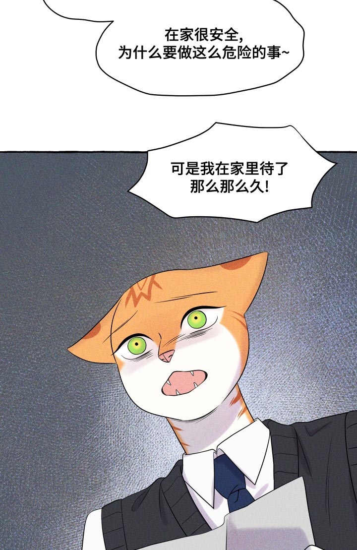 灵猫欧米伽双猫漫画,第97话2图