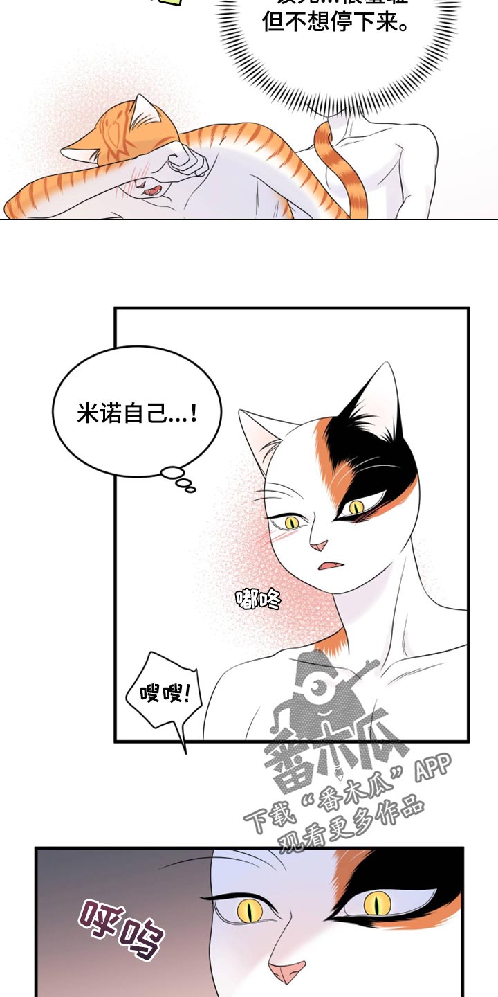 灵猫是什么动物漫画,第72话1图