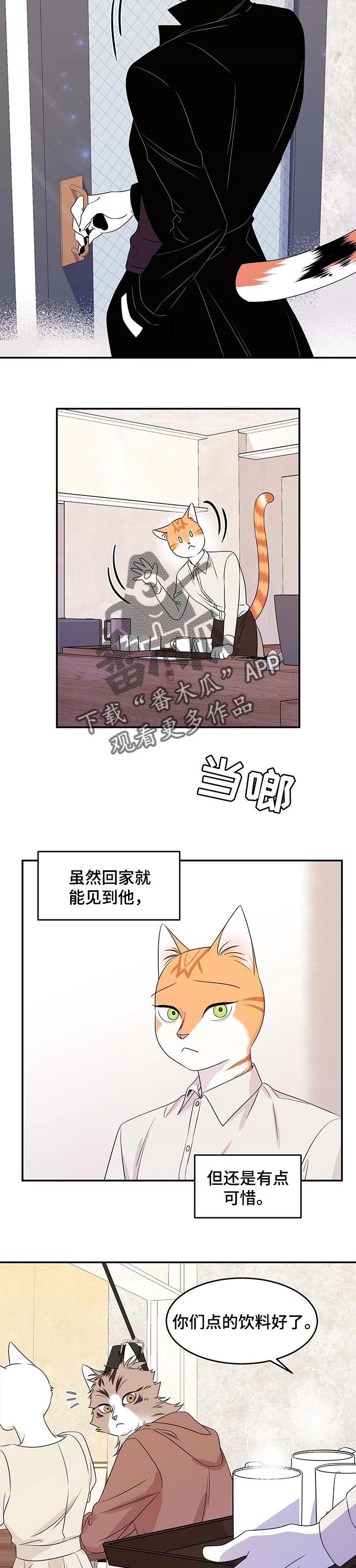 灵猫欧米伽漫画免费看漫画,第24话2图