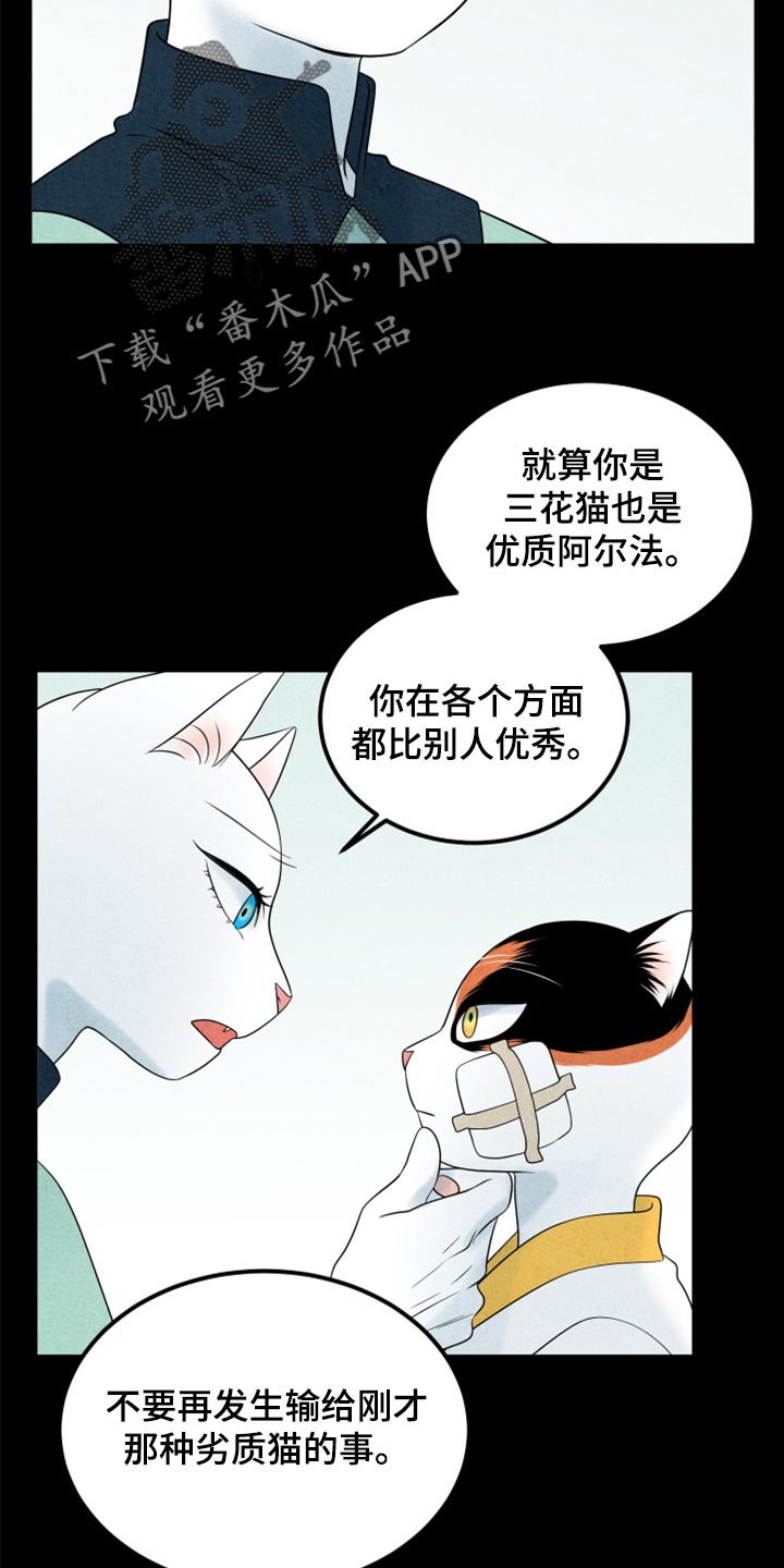 欧米伽兽漫画,第70话2图