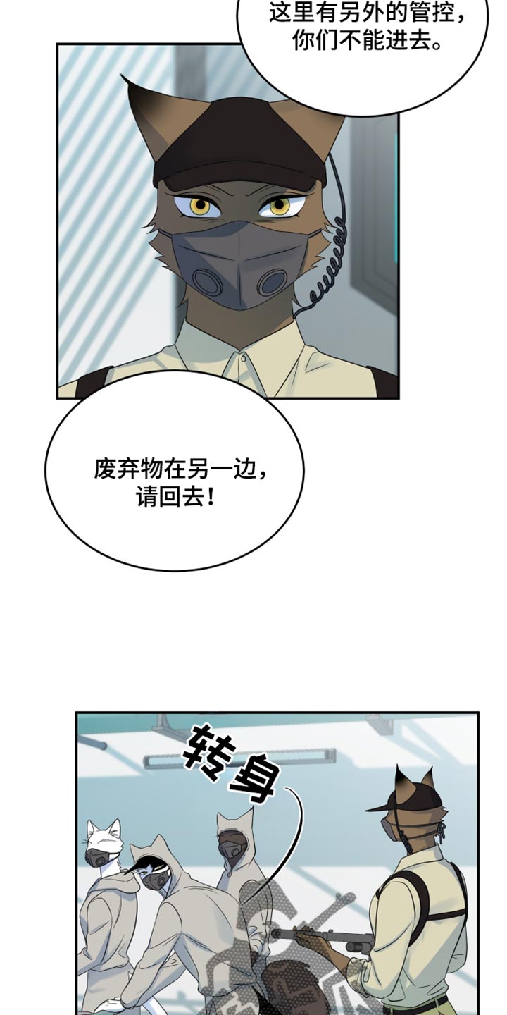 灵猫欧米伽漫画免费观看下拉式漫画,第124话2图