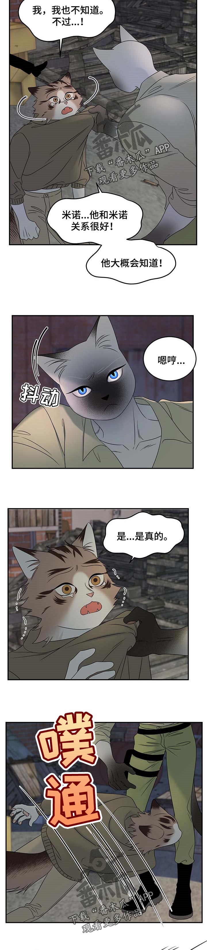 灵猫欧米迦漫画,第31话2图