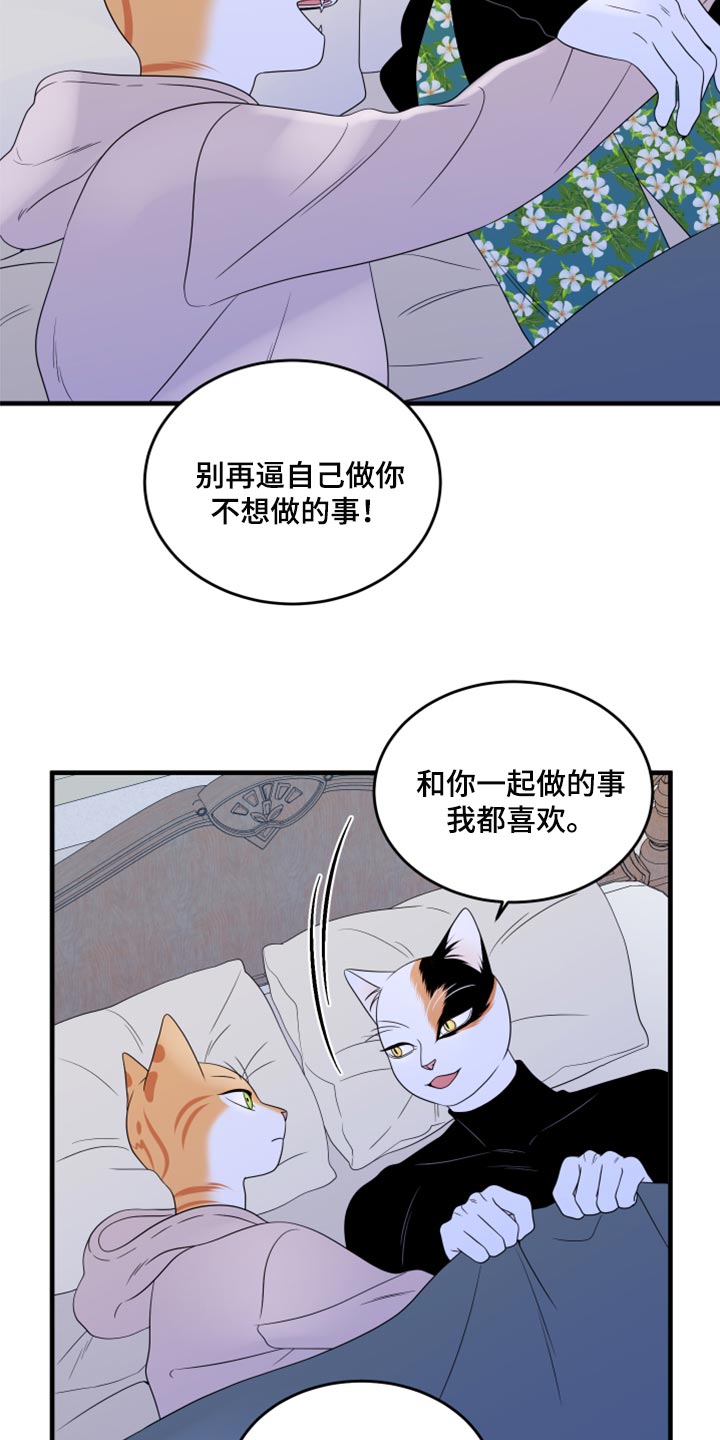 灵猫欧米伽免费阅读漫画,第75话1图