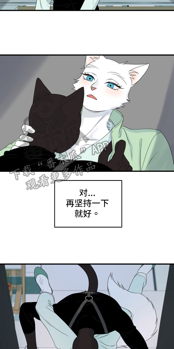 omega猫漫画,第107话2图