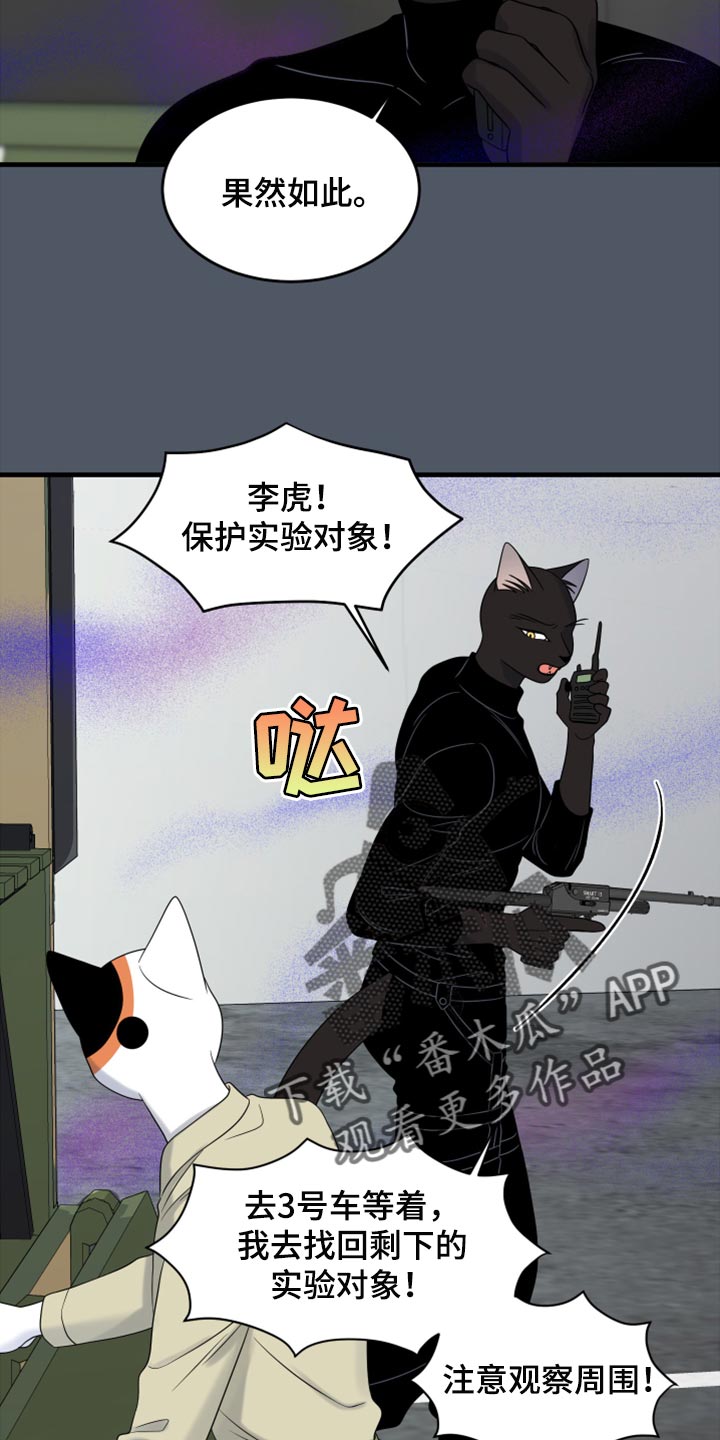 灵猫欧米伽免费版在哪里看漫画,第81话2图