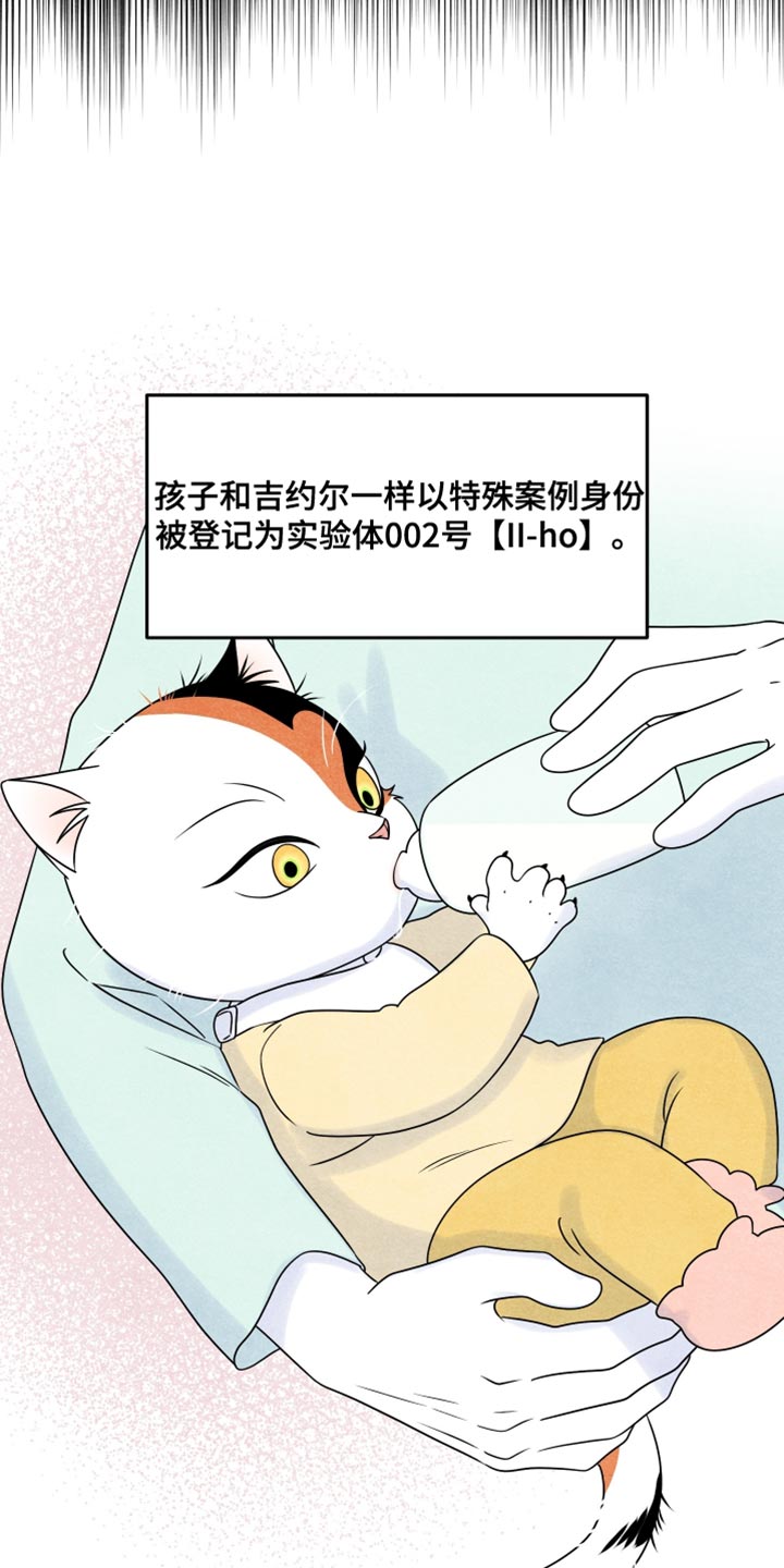 灵猫欧米伽漫画免费漫画,第157话2图