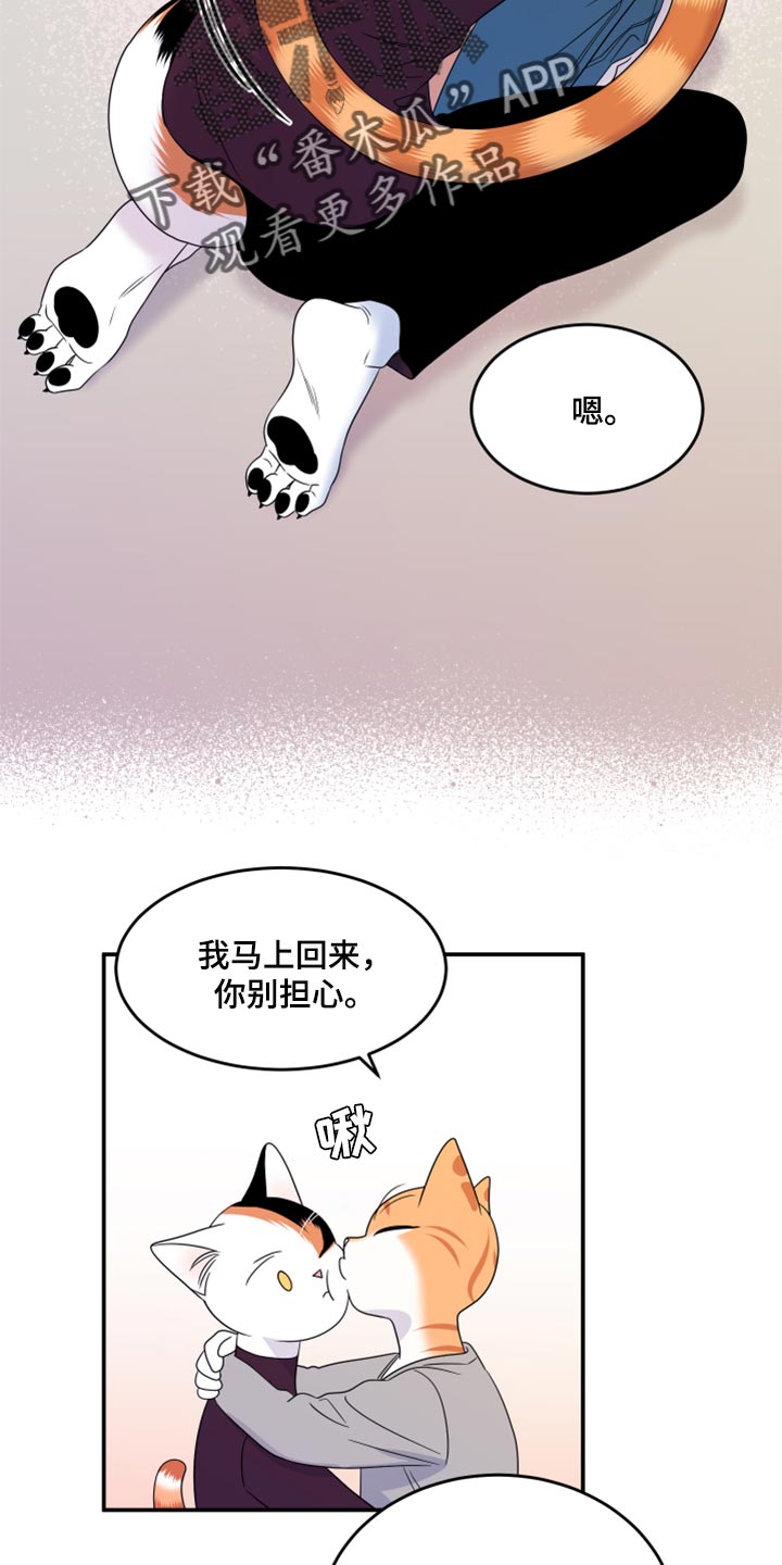 欧米伽3对猫的作用漫画,第55话2图