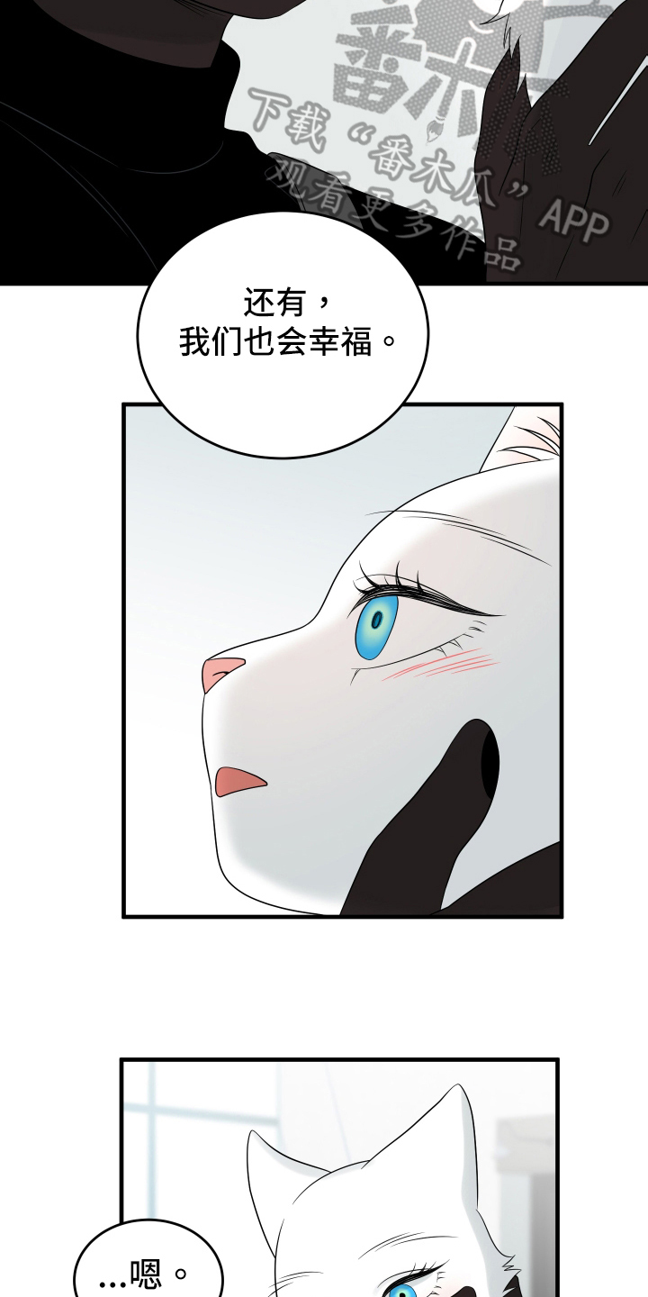 灵猫科和猫科的区别漫画,第107话2图