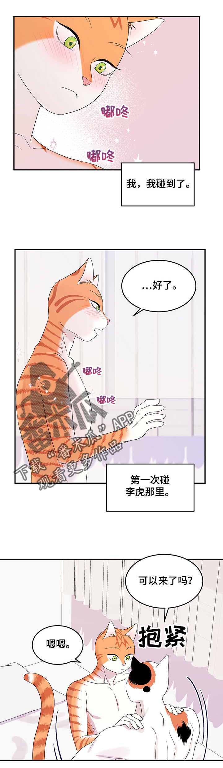 灵猫欧米伽漫蛙叫什么漫画,第13话2图