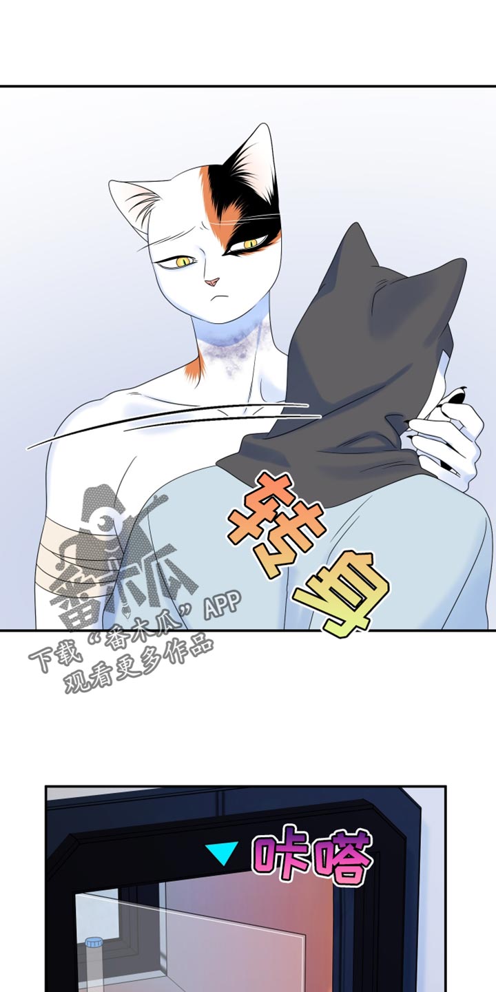 灵猫欧米伽还叫什么漫画,第165话1图