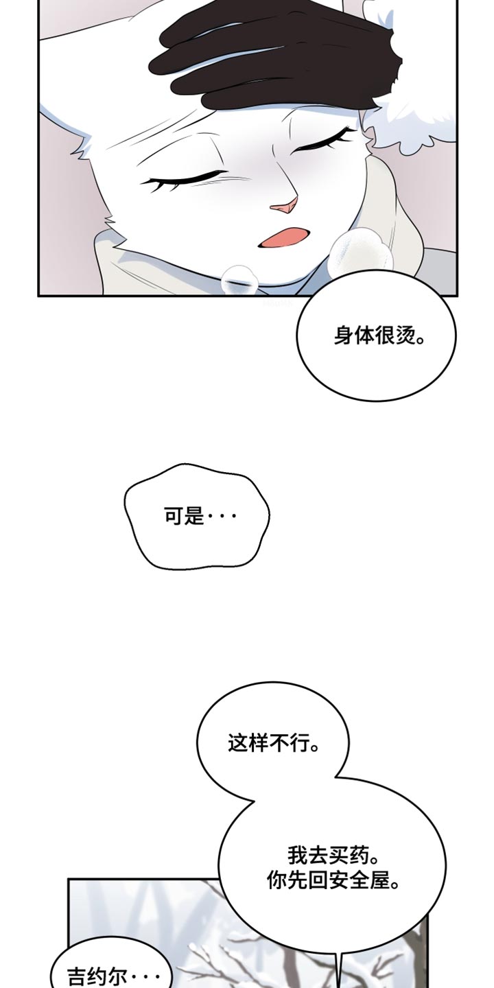 灵猫欧米伽第三季什么时候出漫画,第144话2图