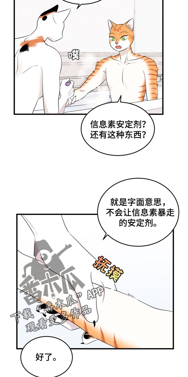 灵猫欧米伽什么时候更新第三季漫画,第69话1图