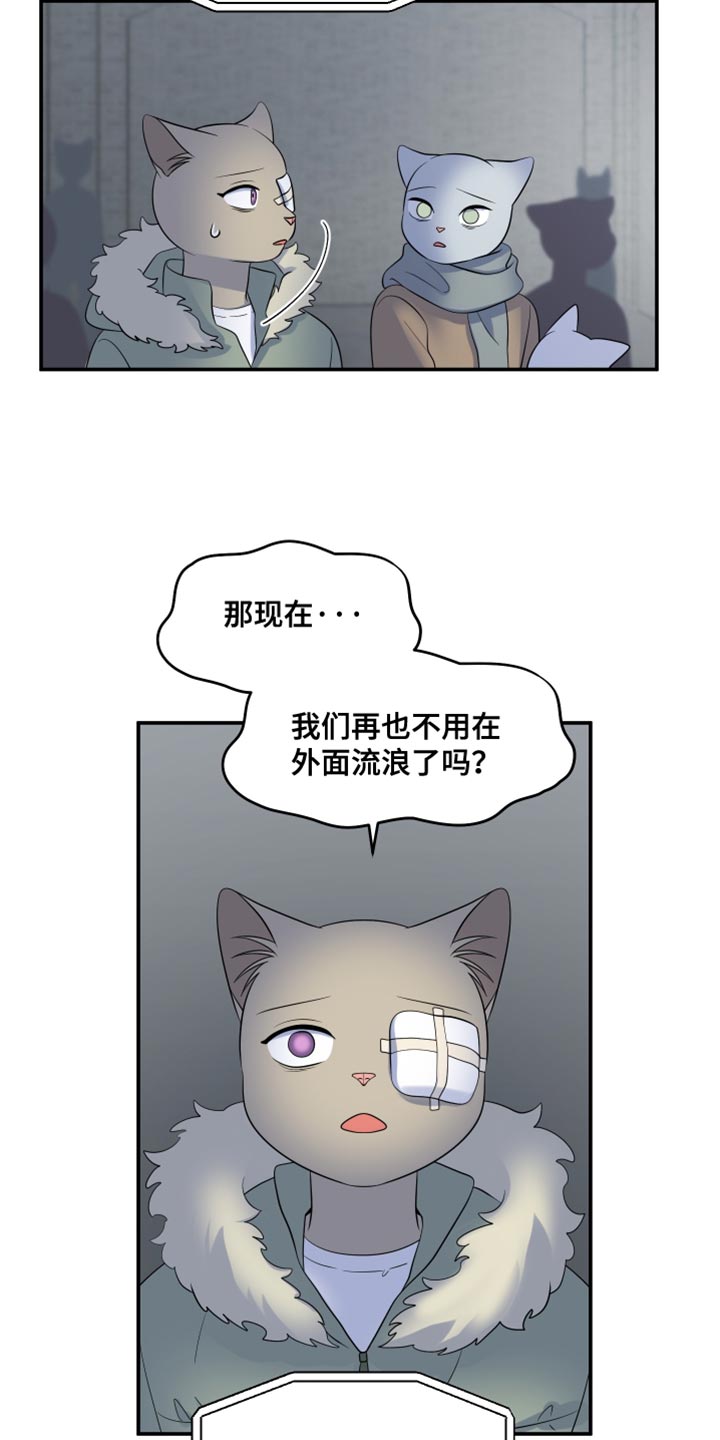 灵猫欧米伽是双男主吗漫画,第149话1图