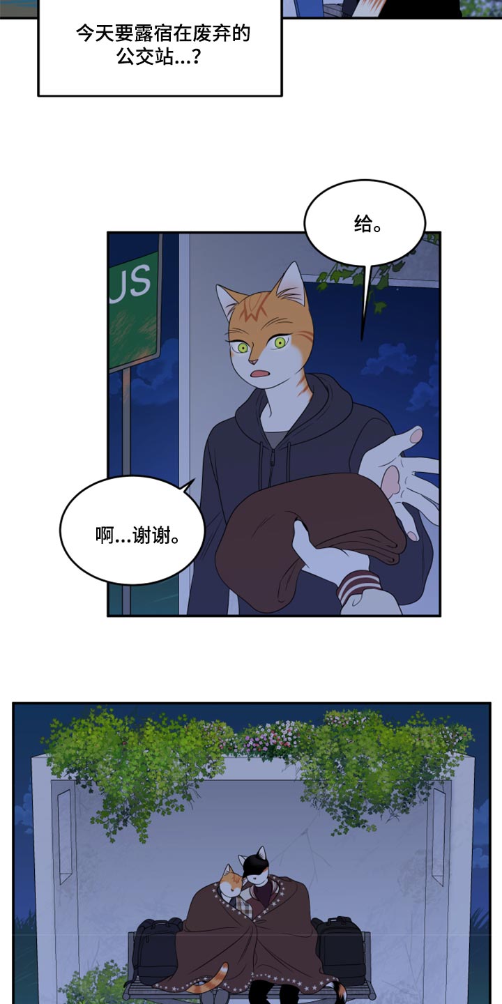 灵猫欧米伽合集漫画,第59话1图
