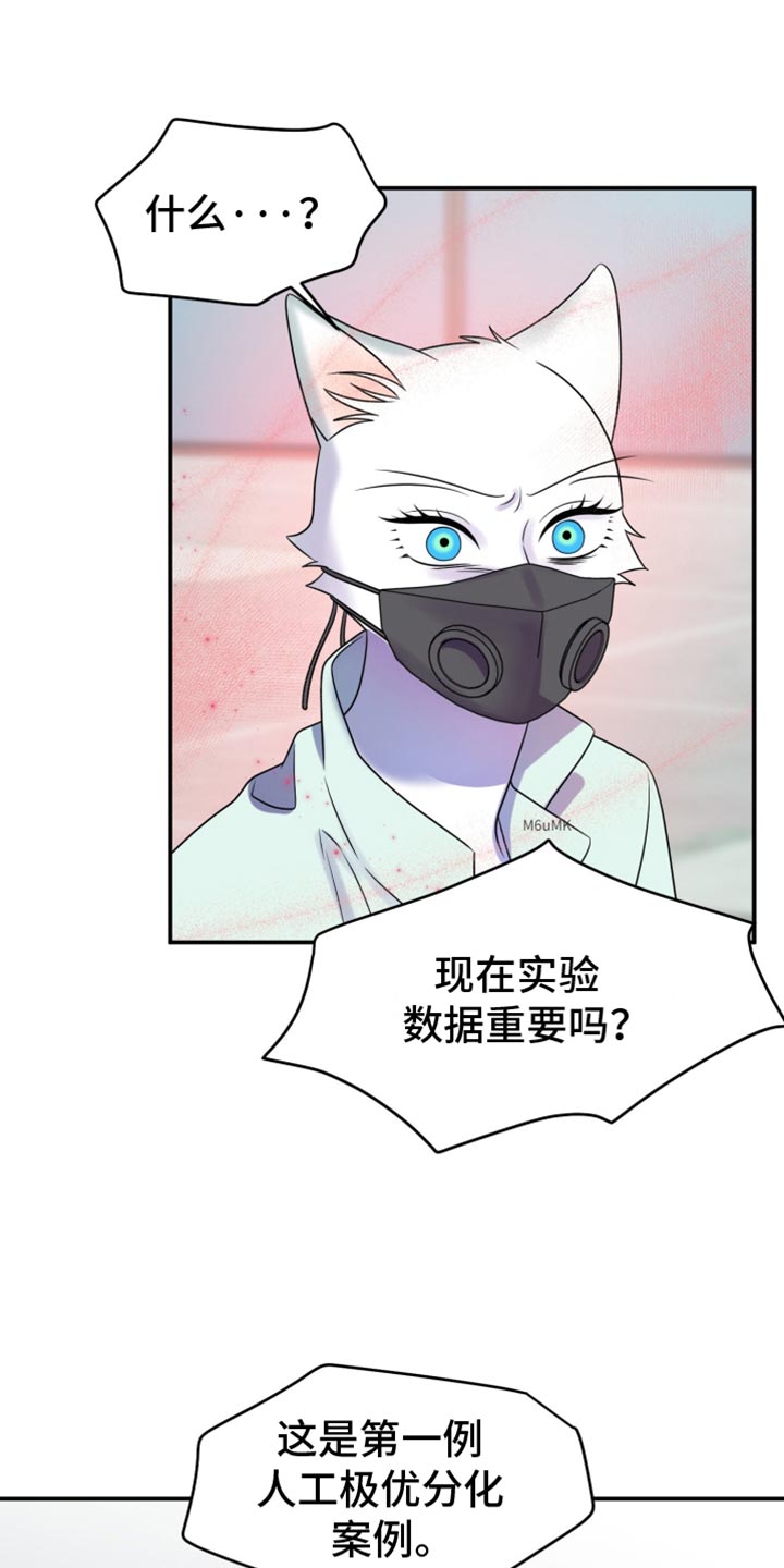 灵猫欧米伽是什么意思漫画,第131话1图