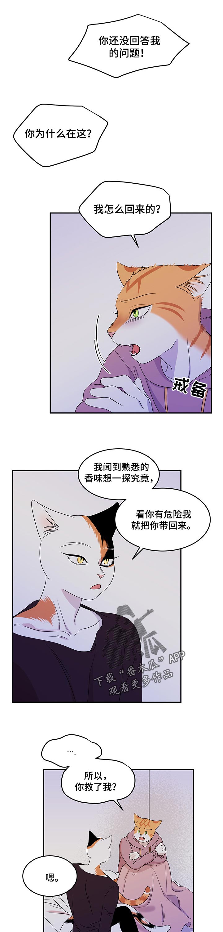 灵猫欧米伽漫画下拉漫画,第30话2图